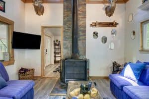 Photo of the living room area of an Airbnb in the Catskills