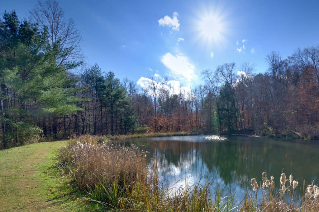 217_Elm_Drive-001-copy Photo of a Private Pond on a Property in Bainbridge NY Shot by New York Real Estate Photography