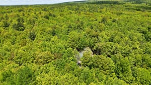 Aerial drone photo of an Airbnb in the Catskills.